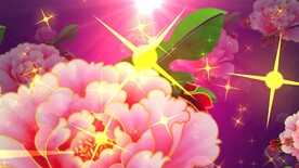 牡丹星光