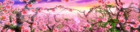 桃花林海