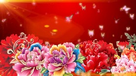 华丽牡丹花蝴蝶飞舞