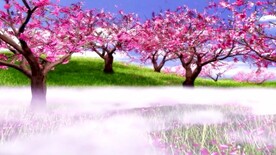 浪漫花树