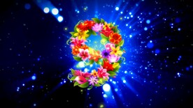 鲜花倒计时