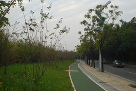 草地