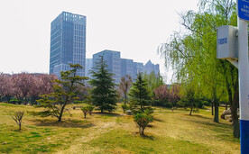 城市公园