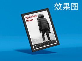 样机
