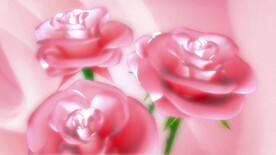 婚礼动态视频  