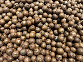 夏威夷果