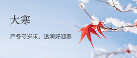 大寒banner