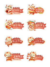 年货节直播间手举牌