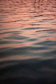 水波纹