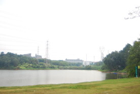 郊野草地