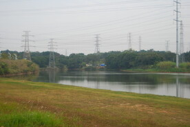 郊野草地
