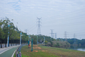 郊野草地