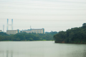 学校人工湖