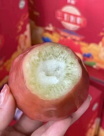 莲雾