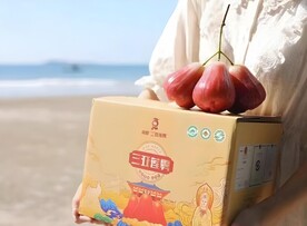 莲雾