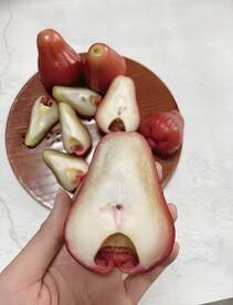 莲雾