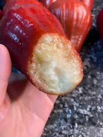 莲雾