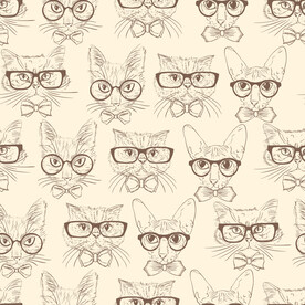 带眼镜的猫