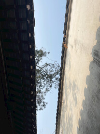 苏州园林