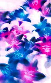 一束花