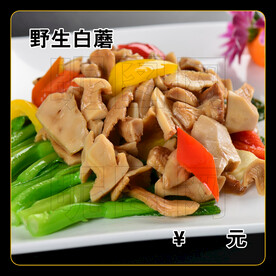 野生白蘑