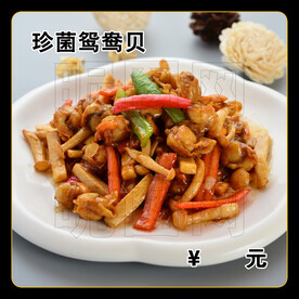 珍菌鸳鸯贝