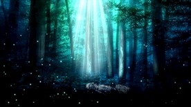 森林自然美景     