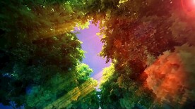 森林自然美景     