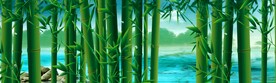 森林自然美景     