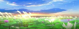 荷花芦苇湖景