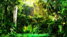 森林自然美景