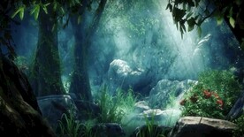 梦幻自然森林