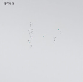  C4D模型  耳环  