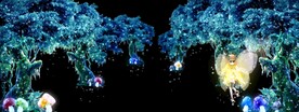 梦幻森林天使