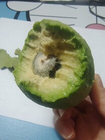 牛油果
