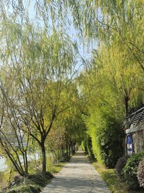 休闲绿化