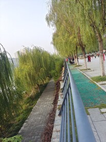 公园风景