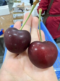 车厘子