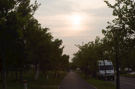 黄昏小路