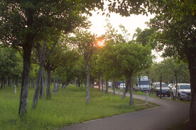 公园小路