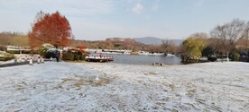 中山陵冬景
