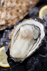 生蚝