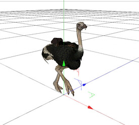 C4D模型 鸵鸟