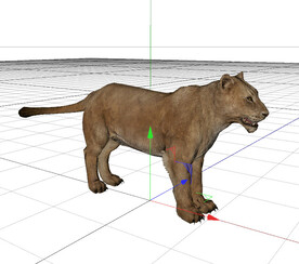 C4D模型 狮子