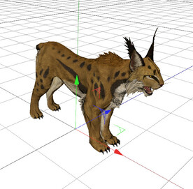 C4D模型 猞猁