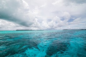 碧海
