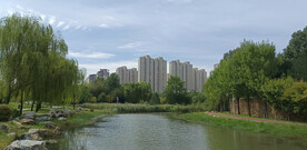 园林风景
