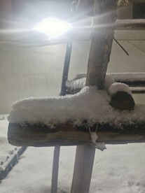 雪景