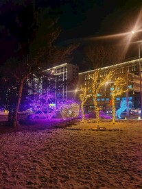 夜色霓虹