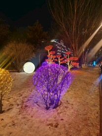 夜色雪景